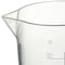 Nalgene Beaker, Plastic, Colorless, PK6 1223-1000 - alternate 3