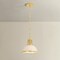 Hudson Valley Lighting Pinesbridge 1 Light Pendant in Aged Brass Finish 9309-AGB - alternate 5