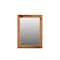 Homeroots 44" Brown Solid Wood Framed Accent Mirror 567997 - alternate 1