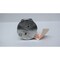 Go Regulator PRESSURE REDUCING REGULATOR VALVE 0-10PSI 1/4IN NPT PR1-1I11P3C11D - alternate 4