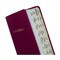 Tabbies BIBLE INDEXING TABS-SPANISH CLASSIC OT & NT & CATHOLIC, 90 GOLD-EDGED TABS, 1"L-1/4" EXT, 10PK 58340 - alternate 7