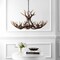 Jonathan Y Eldora 36" 8-Light Rustic Farmhouse Adjustable Resin Antler LED Chandelier, Brown JYL6319A - alternate 8