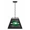 Holland Bar Stool University of North Dakota Pendant Box Light BxLM1 - alternate 1