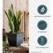 Hc Companies Eclipse 12'' x 12'' x 10.50'' Resin Black Planter ECP12005G18 - alternate 5