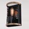 Vaxcel Kodiak 1 Light Black Cage Rustic Wall Sconce Bear and Tree Motif W0408 - alternate 8