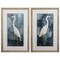 Homeroots Set of Two Teal Blue Heron Framed Art, 2PK 472104 - alternate 1