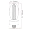 Elumigen 50W LED Filament Lamp, ED38, 10,000 Lumen, AC 120-277V / DC 120-250V, 5000K, Wet Rated HIDW50L10000C5R7NU - alternate 3
