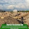 Farm Plastic Supply 4 Foot Wooden Stakes - 25 Per Bundle, Wooden Garden and Sign Posts, Silt Fence, Tomato Stakes Z-4FootStakes-4003 - alternate 6