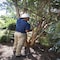 Corona Tools DualARC Orchard Lopper, 36 in., 2-1/4 in. Cut Capacity AL 8482 - alternate 3