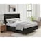 Homeroots Black Velvet Upholstered Queen Bed Frame 544804 - alternate 8