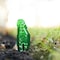 Terro Ant Bait Stake, Liquid, Sweet, 2 fl-oz Pack Green, 8PK T1812 - alternate 8