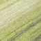 Homeroots 8' Lime Green Ivory And Black Round Abstract Washable Indoor Outdoor Area Rug 599978 - alternate 6