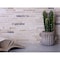 Apollo Tile Beige 12x12 Crema Marfil Emperador Dark Marble Floor and Wall Mosaic Tile 4.83 sqft/case, 5PK APLKB88P30A - alternate 9