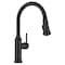 Blanco Empressa Pull-Down 1.5 GPM, Matte Black 443023 - alternate 1