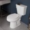 Anzzi Garden 12in 2pc 1.28 GPF Siphon Elongated Ceramic Toilet, White Soft Close Seat, ADA height Included TL-AZ070 - alternate 1