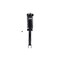 Fcs Struts Suspension Strut And Coil Spring Assembly 3335850 - alternate 1