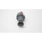 Siemens PRESSURE REGULATOR 1/4IN NPT 40-50 - alternate 6