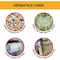 Wrightmaster 18 in. x 1500 ft. 80 Gauge Heavy Duty Clear PET Stretch Wrap (4-Roll), 4PK ZR-18X1500X80 - alternate 5