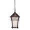 Homeroots Frosted Glass Bronze Lantern Hanging Light 397985 - alternate 1