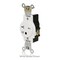 Leviton Single Receptacle Outlet, 20A, Ivory, 250V W5461-T0I - alternate 4