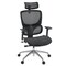 Regency Omega Mesh O-2 Tech Ergonomic Management Office Chair with Headrest/Adjustable Lumbar Support, Blk OMG002BK - alternate 1