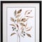 Homeroots Autumn Leaves II Espresso Framed Print Wall Art 484180 - alternate 3