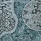 Homeroots 8' X 10' Teal Blue And Dark Green Floral Medallion Washable Indoor Outdoor Area Rug 603200 - alternate 4
