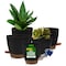Campior Black Self Watering Pots, Indoor and Outdoor Plant Pots with Wick Rope and Drainage Holes, 5PK CAMPPLTBK5 - alternate 1