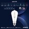 Luxrite Vintage ST19 LED Light Bulb 75 Watt Equivalent, 5CCT 2700K-5000K, 7W, Dimmable, 800, 6PK LR21686 - alternate 7