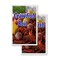 Signmission Crawfish Boil, Vinyl Decals Only 24 Inch x 36 Inch, Vinyl Decal, 2PK DSB-2436-2PACK-Crawfish Boil - alternate 1