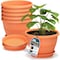 Lifemaster 10-Inch Whiskey Barrel Planters, Durable Plastic Pots with Drainage and Saucer, 5PK LMPBP5PRD5 - alternate 1