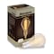 Bulbrite Grand Nostalgic Collection 60w Dimmable Pear Shape Oversized Decorative Med (E26) Base, 2200K Amber 137101 - alternate 6