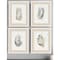 Homeroots Set Of Four Oysters on the Bay White Framed Print Wall Art, 4PK 525662 - alternate 3