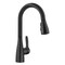 Blanco Atura Bar Pull-Down 1.5 GPM, Matte Black 443028 - alternate 1