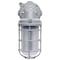 Nuvo LED Light Fixture, Adjustable, Vapor Tight 65-172 - alternate 9