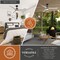Vaxcel North Bend, 52 in, Bronze Indoor/Outdoor Ceiling Fan, Ash Blades, LED, Remote, DC F0139 - alternate 6