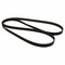 Motorcraft Serpentine Belt,  JK6881BB - alternate 2