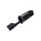 Fcs Struts Suspension Strut And Coil Spring Assembly 1333453R - alternate 4