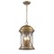 Homeroots Lincoln 4-Light Antique Brass Hanging Light 397955 - alternate 3
