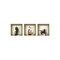 Homeroots Set of Three Gil Faux Niche 3D Peel and Stick Wall Decals, 3PK 565393 - alternate 1