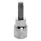 Perform Tool Torx Bit Use With 3/8 In Drive Socket; 6 Point; T40; Polished; Alloy Steel Bit With Chrome Vanadium W38840 - alternate 1