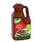 Knorr Professional Ready-to-Use Chipotle Barbecue Sauce, 0.5 Gallon 4800191665 - alternate 1
