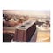 Bird-X 25 ft. Original Plastic Bird Spikes Coverage Pigeon Bird Repellent SP-25 - alternate 7