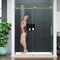 Anzzi 60in Reversible Frameless Sliding Deco-Glass Shower Door w/ Soft-Close System Brushed Gold Finish SD-AZ20-02BG - alternate 9