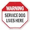Signmission Warning Service Dog Lives Here, 6 Inch X 6 Inch, Plastic Sign OC-P-6-192 - alternate 1