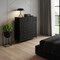 Homeroots 39" Black And Gold Steel Nine Drawer Dresser 523994 - alternate 2