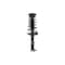 Fcs Struts Suspension Strut And Coil Spring Assembly 1331048R - alternate 1