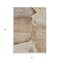 Homeroots 3' X 5' Brown Beige And Taupe Floral Washable Indoor Outdoor Area Rug 582236 - alternate 5