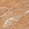 Homeroots 8' Copper Brown And Ivory Round Abstract Washable Indoor Outdoor Area Rug 601088 - alternate 6