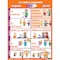 Poster Pals Irregular Verb Poster Set, Spanish, 7-Piece Set PS33 - alternate 6
